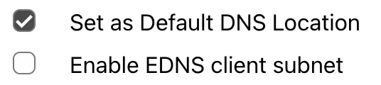 用于设置 DNS 选项的两个复选框。