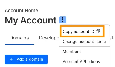 Overview（概览）页面截图，API 部分已高亮