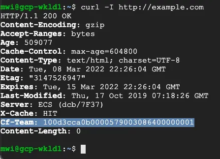 用于验证 Secure Web Gateway 的 Curl 示例